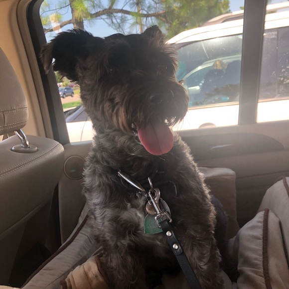 Meet your Posher, Maria - Picture 1 of 1